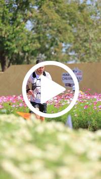 BIB:  <button type="button" onclick="openModal(27586248)" class="btn btn-primary btn-sm float-right" data-toggle="modal" data-target=".modal-high-quality">
                <i class="fa fa-download"></i> Download
                </button>